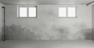 kelders waterdicht maken