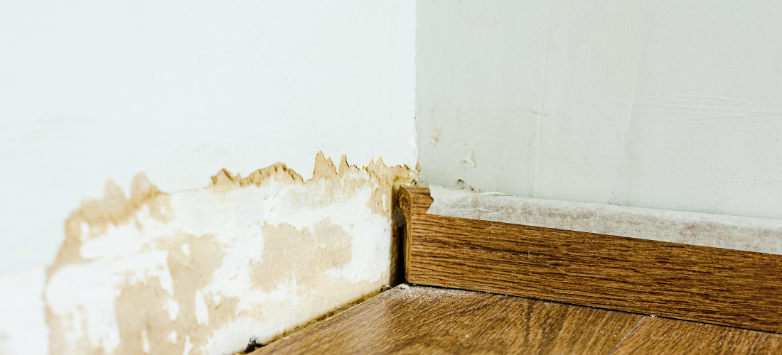 vochtige muren kelder