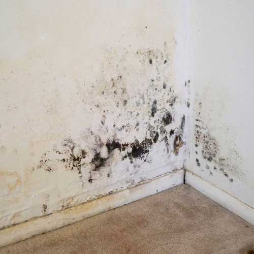 vochtplekken op muur