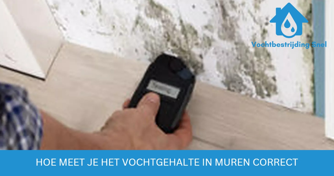 vocht in muur meten