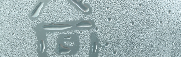 vocht uit huis krijgen