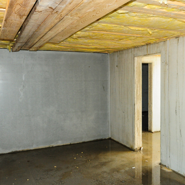 vochtige kelder behandelen