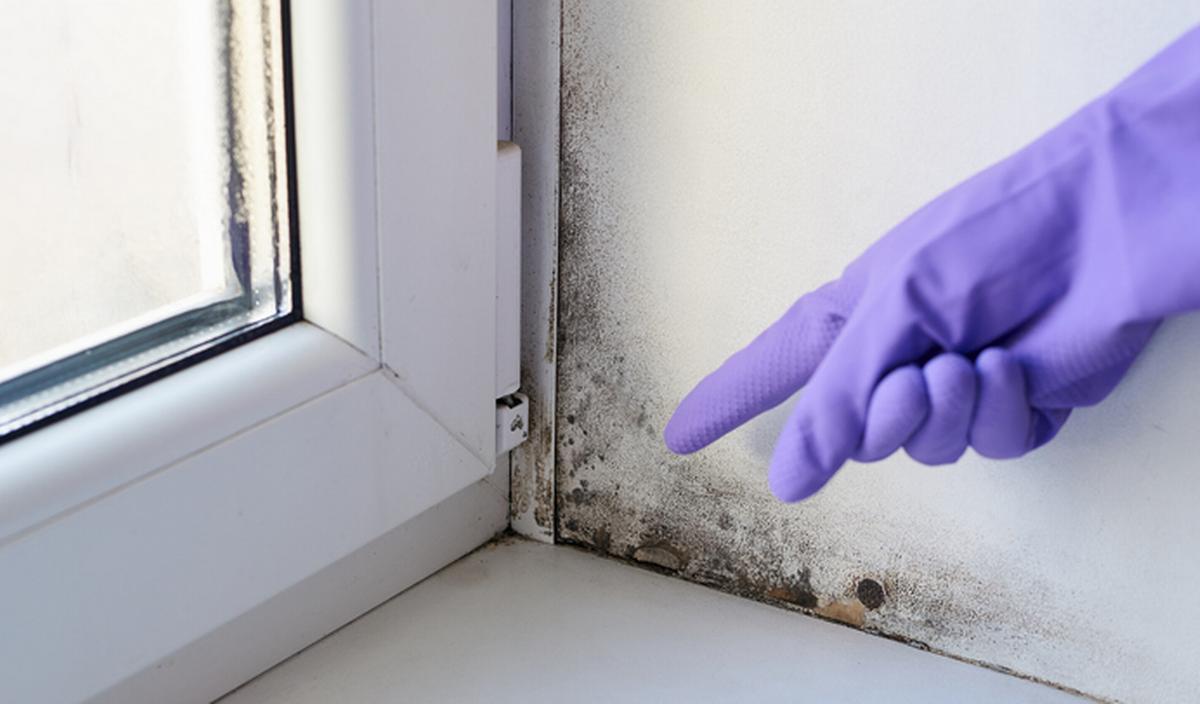 vocht in huis wat te doen