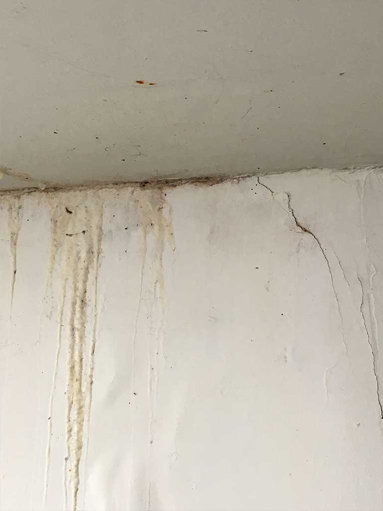 vochtplekken op de muur