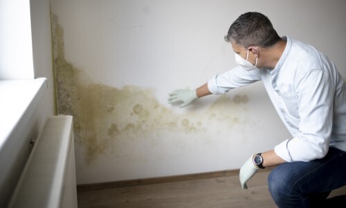 vocht in muren oorzaak