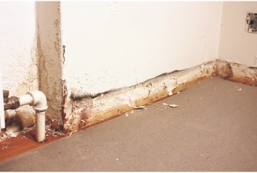 vocht in muur