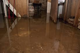 water in kelder