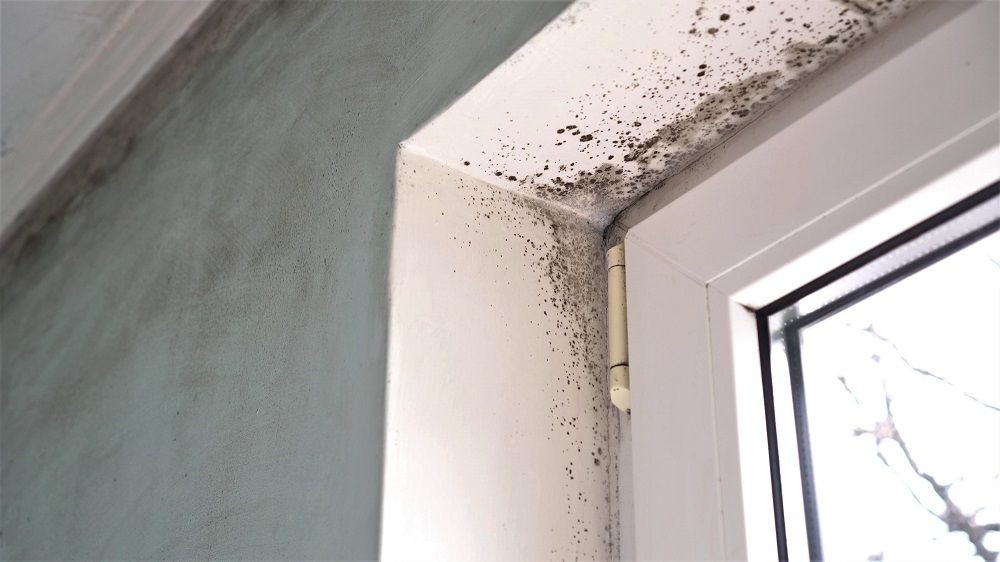 vocht in spouwmuur