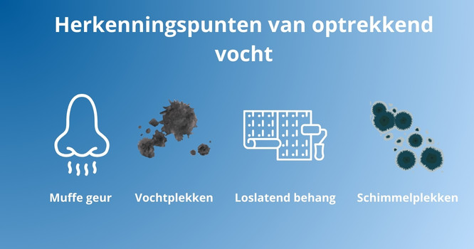 vocht verwijderen