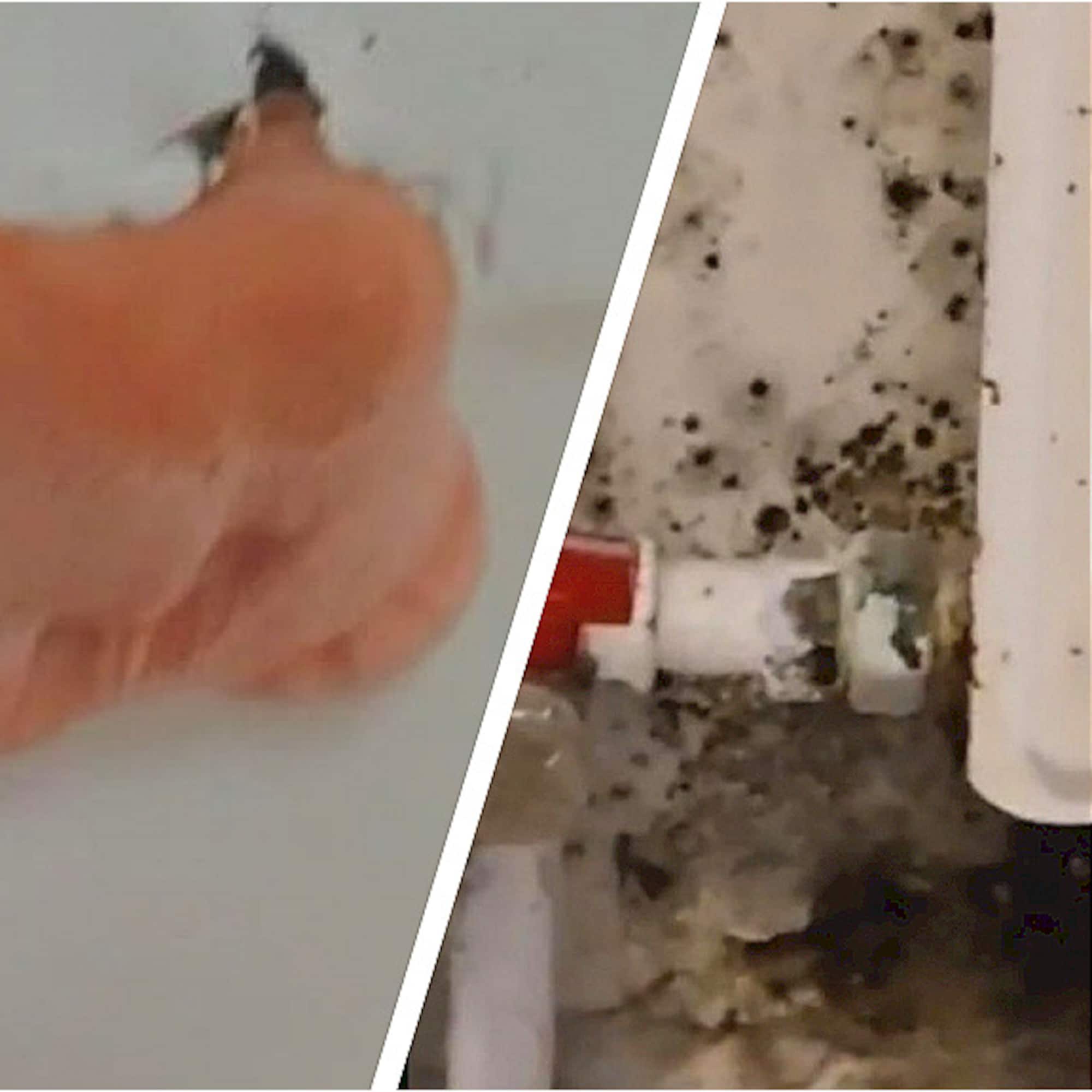 wat te doen tegen vocht in huis