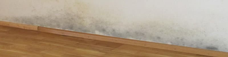 vocht in huis gezondheidsklachten